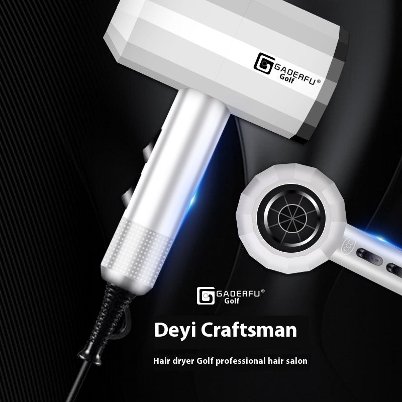 Electric Hair Dryer